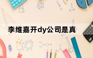 李维嘉开dy公司是真的吗