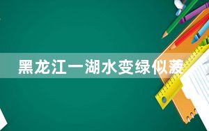 黑龙江一湖水变绿似菠菜汁 背后真相实在令人震惊