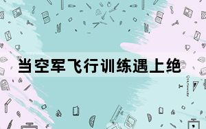 当空军飞行训练遇上绝美地平线 背后真相令人震惊