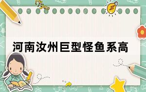 河南汝州巨型怪鱼系高危外来生物 这到底是怎么回事？