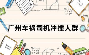 广州车祸司机冲撞人群后撒钱 背后真相实在让人惊愕