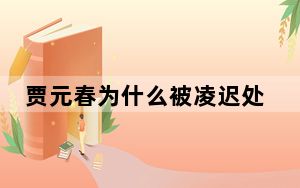 贾元春为什么被凌迟处死 这到底是怎么回事？