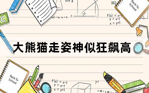 大熊猫走姿神似狂飙高启盛 背后真相令人震惊