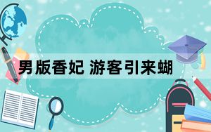 男版香妃 游客引来蝴蝶落满身