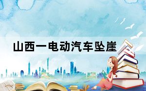 山西一电动汽车坠崖 背后真相实在令人震惊