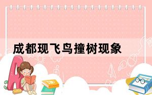 成都现飞鸟撞树现象 背后真相让人感到惊讶