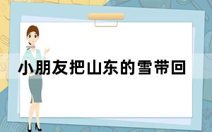 小朋友把山东的雪带回福建半路大哭 背后真相实在令人震惊