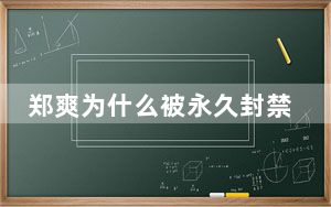 郑爽为什么被永久封禁 背后真相让人感到惊讶