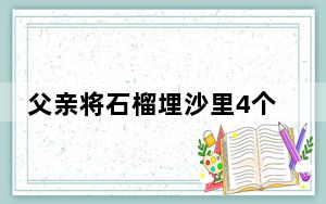 父亲将石榴埋沙里4个月等儿子 背后真相让人感到惊讶