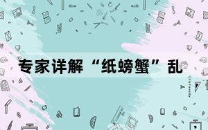 专家详解“纸螃蟹”乱象 背后真相令人震惊