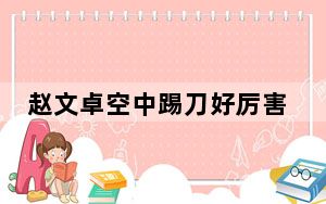 赵文卓空中踢刀好厉害 背后真相实在让人惊愕