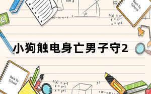 小狗触电身亡男子守2小时提醒路人   背后真相实在令人感到惊愕