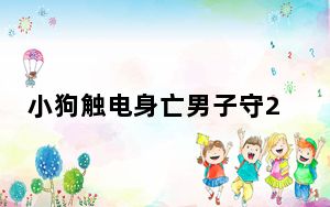 小狗触电身亡男子守2小时提醒路人  背后真相令人感动