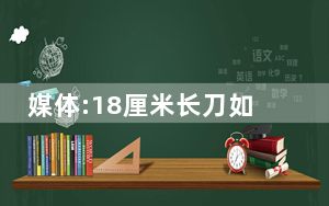 媒体:18厘米长刀如何被带上了车? 背后真相实在令人震惊