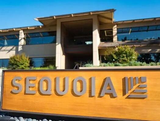 全球顶尖PE巨头红杉资本大裁员 背后真相实在令人感到惊愕