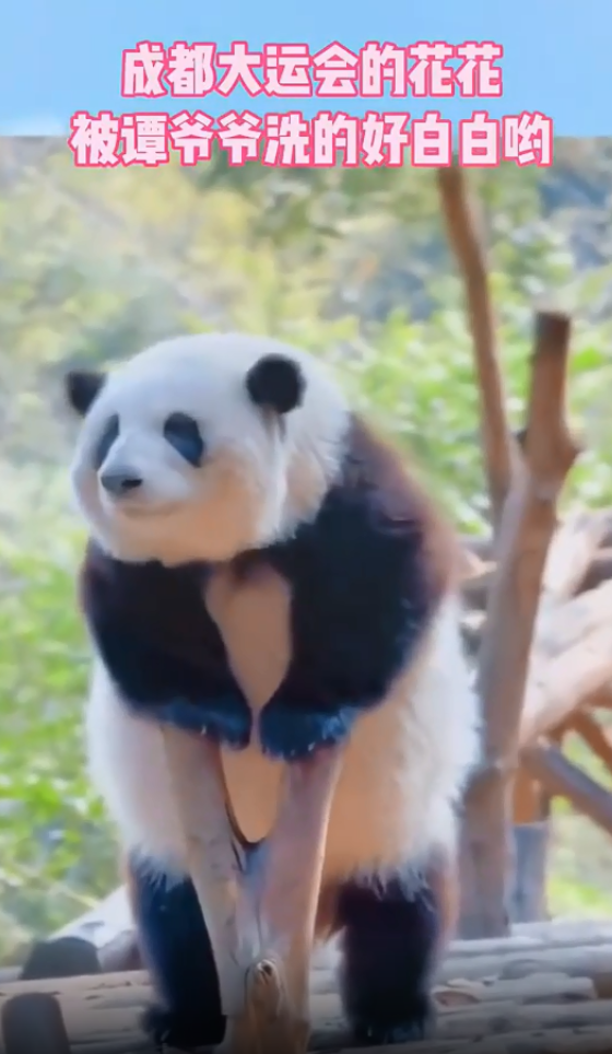 花花洗澡全国人民都知道了 网友:只要看见她内心就已经得到治愈