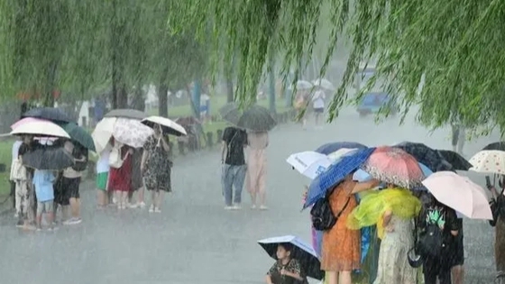 为什么台风“卡努”的预报路径成谜 背后真相实在令人感到惊愕