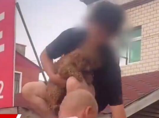涿州男子获救后折返找狗被吐槽 背后真相实在令人感到惊愕