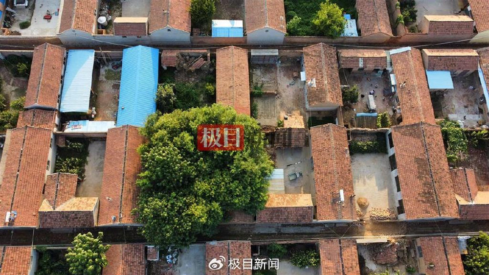 山东平原地震震中直击 背后真相实在令人感到惊愕