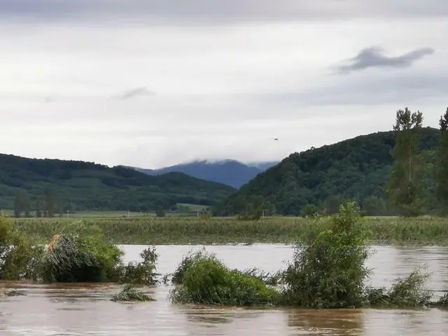 水稻第一县五常遭重创 或面临绝收 背后真相实在令人感到惊愕