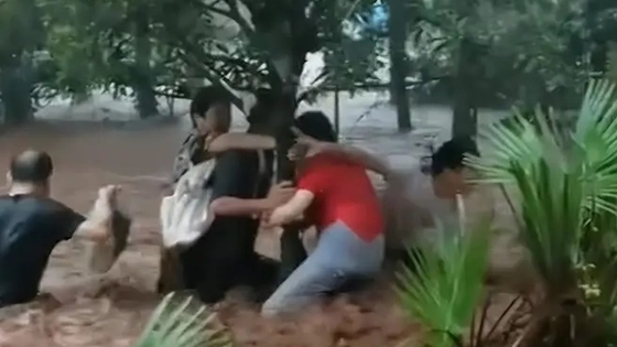 重庆景区突发山洪 游客水中抱树避险  背后真相实在令人感到惊愕