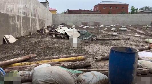 涿州一养羊场上千头羊所剩无几  背后真相实在令人感到惊愕