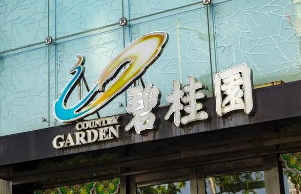 碧桂园人士:出现阶段性的流动性压力 背后真相实在令人感到惊愕
