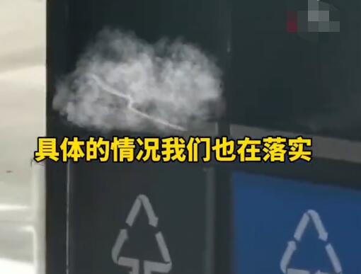 昆明车站外多条绿蛇在垃圾箱上爬行 背后真相实在令人感到惊愕