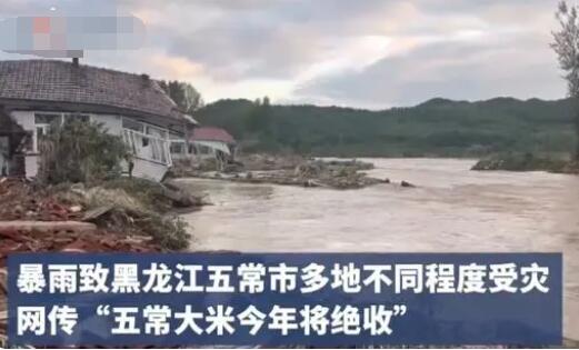 种植户称五常大米未达到绝收程度  背后真相实在令人感到惊愕