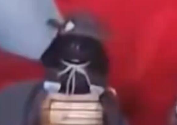 重庆一寺庙疑供奉日本邪神 背后真相实在令人感到惊愕