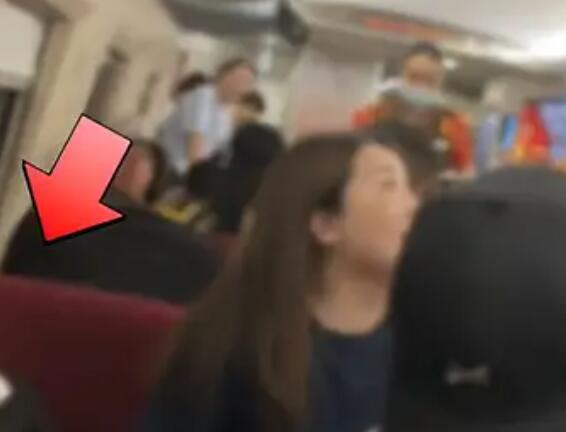 女子用包占高铁公共座位 称对人过敏 简直笑死人