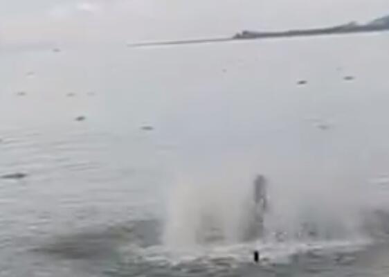 昆明回应滇池鱼群死亡:抢水致缺氧