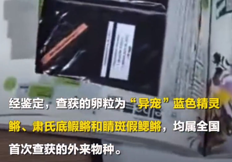 图书被掏空内藏鳉鱼鱼卵 背后真相实在令人感到惊愕
