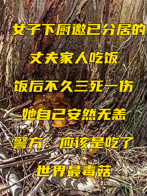 女子请分居丈夫家人吃饭3死1伤 背后真相实在令人感到惊愕