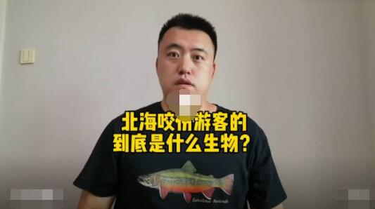 科普博主称北海伤人可能是公牛真鲨  这到底是怎么回事？