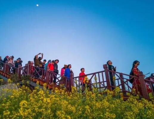 游客曝导游强制购物还不让提前走 背后真相实在令人感到惊愕