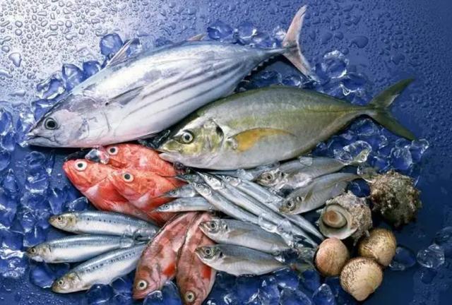 日本核污染水排海 从日本进口的海鲜还能吃吗?