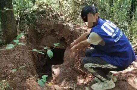 四川男子邀约多人盗墓9处被抓 背后真相令人感到震惊