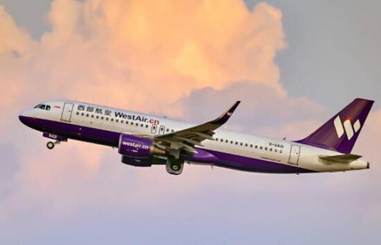 南宁至重庆一航班遭鸟击返航 背后真相实在令人感到惊愕