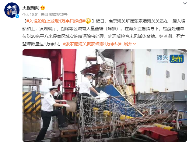 入境船舶上发现1万余只蟑螂 背后真相实在令人感到惊愕