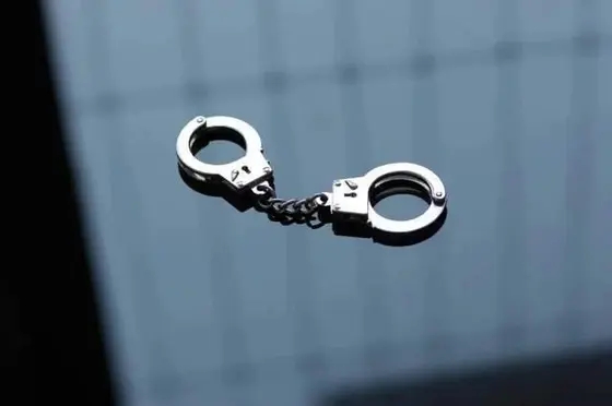 纪委人员办案 车顶被放掰断翅膀鸽子 背后真相令人感到震惊