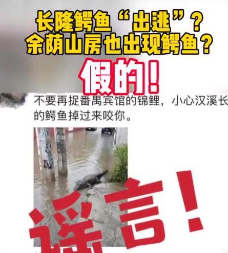 广州长隆鳄鱼出逃?官方辟谣 内幕曝光简直太意外了