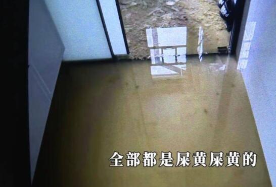 新房五天遭粪水淹两次 业主崩溃 内幕曝光简直太意外了