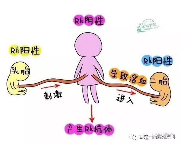 因母胎血型不合女子怀孕3次都死胎 背后真相实在令人感到惊愕