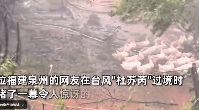 1691228187161913.png image.png