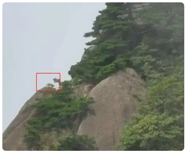 1691996066582656.png image.png