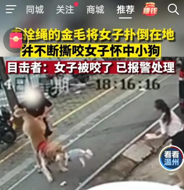 1692066269980981.png image.png