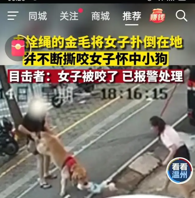 1692066309972034.png image.png