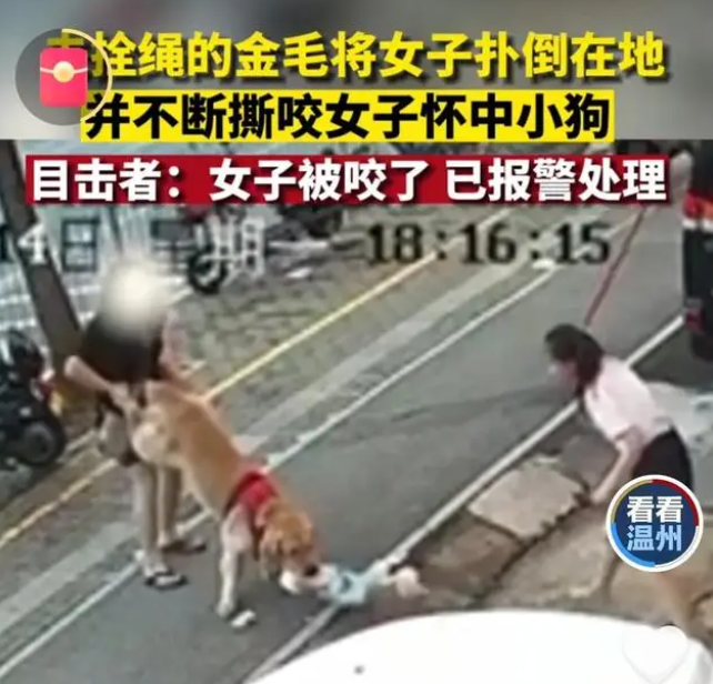 1692066353605681.png image.png