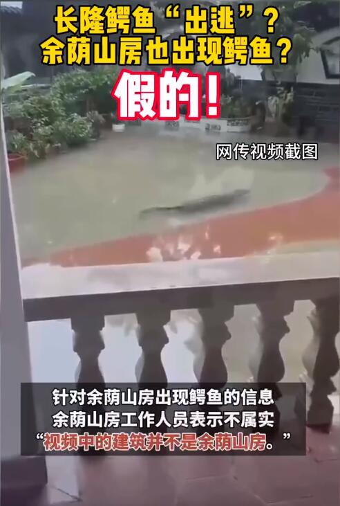 广州番禺辟谣“鳄鱼出逃”，请大家不信谣不传谣！